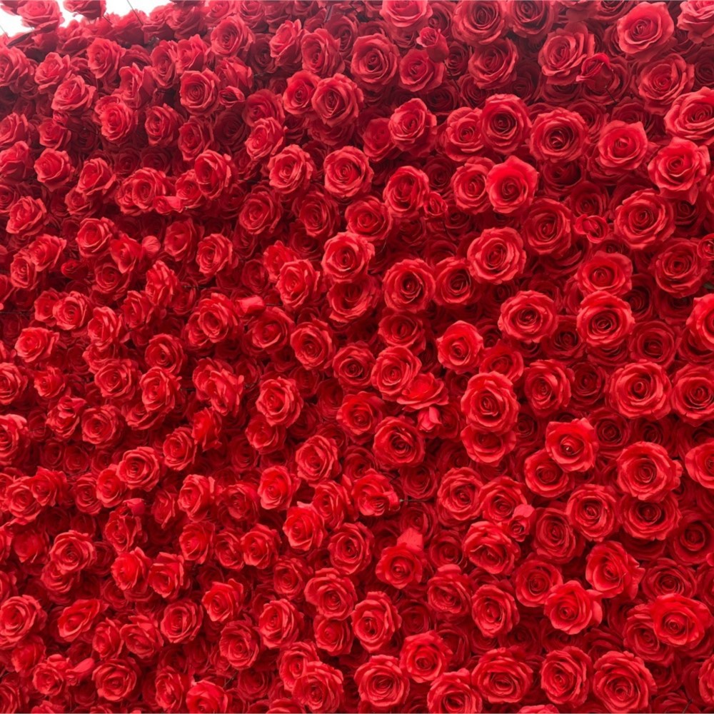Uflower Mawar Merah 5D Bunga K - Wedding Backdrop Curtain ulasan dan harga