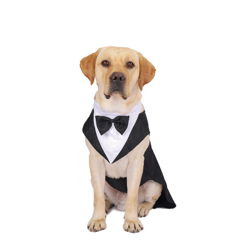 Pakaian Anjing Peliharaan Mode - Suit Supply Wedding Party ulasan dan harga