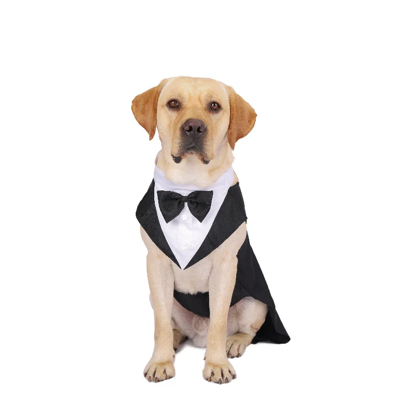Pakaian Anjing Peliharaan Mode - Suit Supply Wedding Party ulasan dan harga