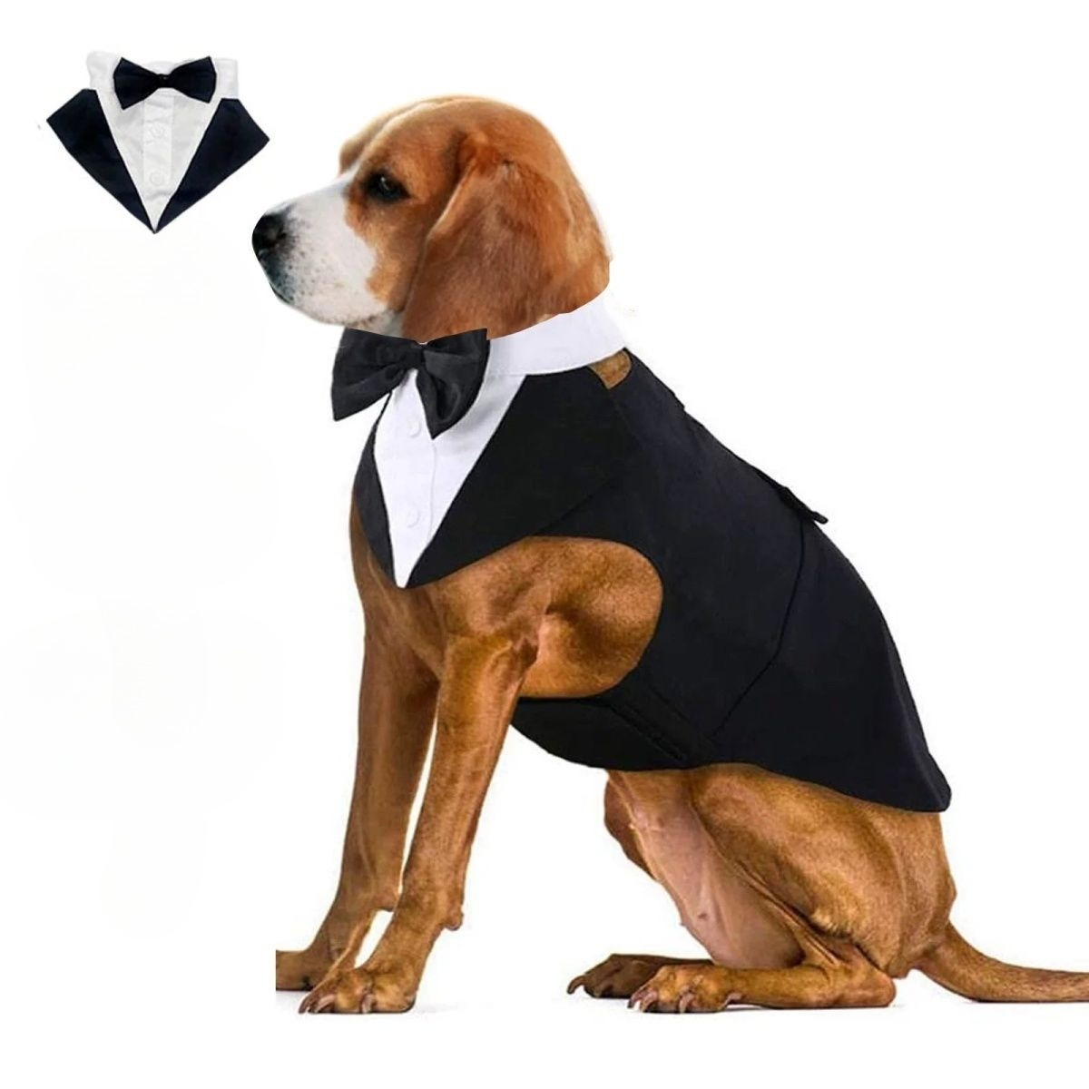 Pakaian Anjing Peliharaan, Pak - Suit Supply Wedding Party ulasan dan harga